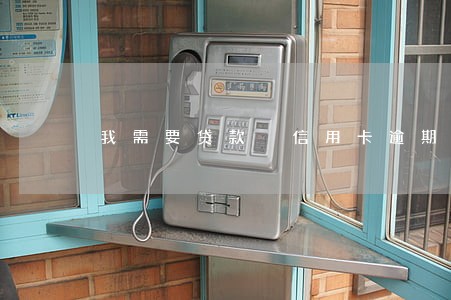 我需要贷款 信用卡逾期 我需要贷款 信用卡逾期